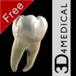 aplicaciones para odontología gratis Dental Patient Education Lite