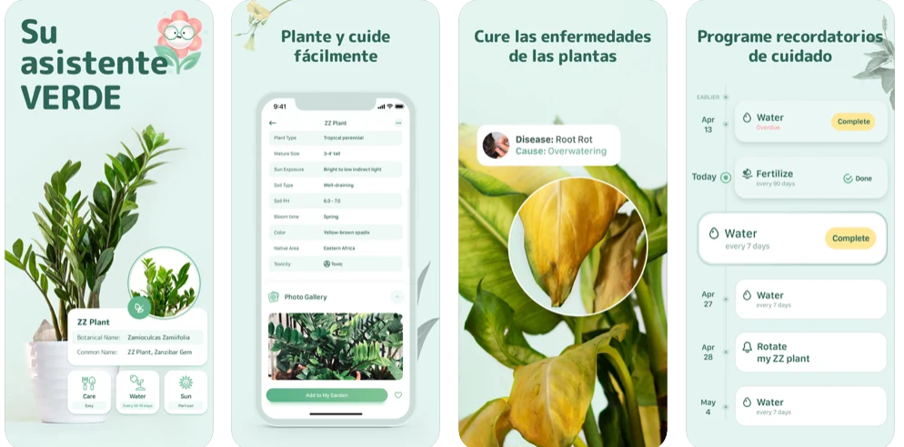 mejores-app-para-identificar-plantas-gratis-blossom