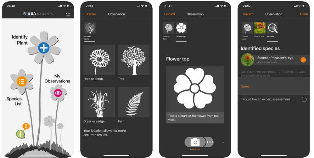 mejores-app-para-identificar-plantas-gratis-flora-incognita