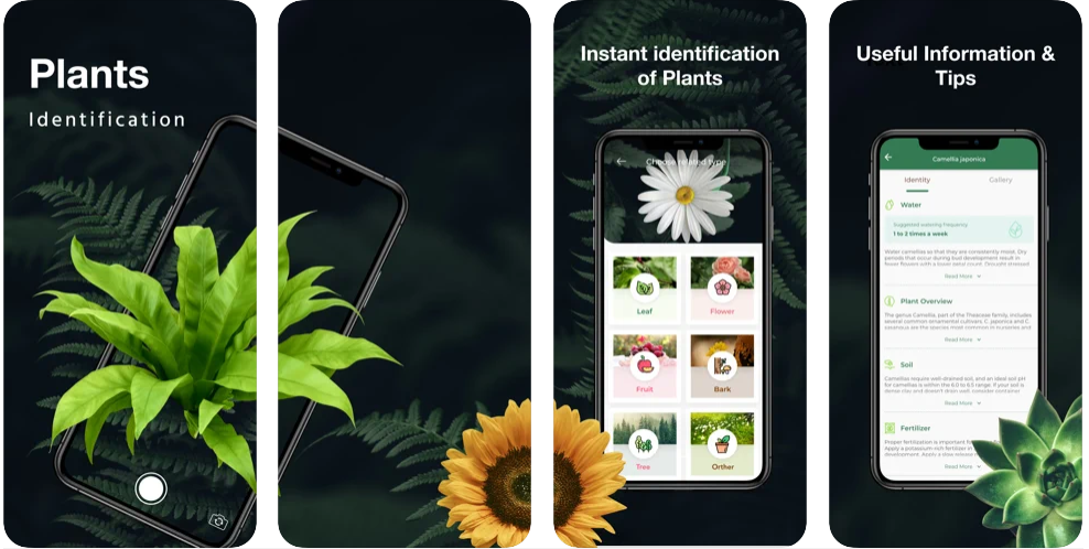 mejores-app-para-identificar-plantas-gratis-leafsnap