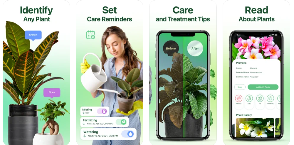 mejores-app-para-identificar-plantas-gratis-natureid-identificar-plantas