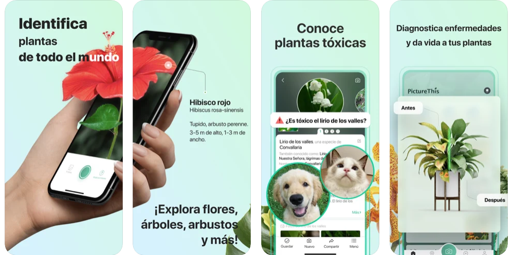 mejores-app-para-identificar-plantas-gratis-picturethis-plant-identifier