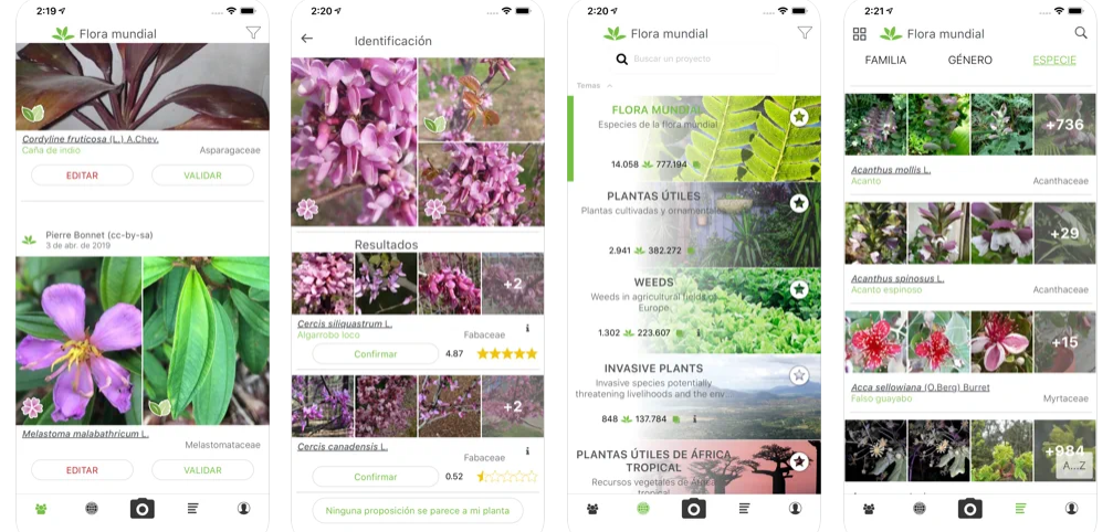 mejores-app-para-identificar-plantas-gratis-plantnet