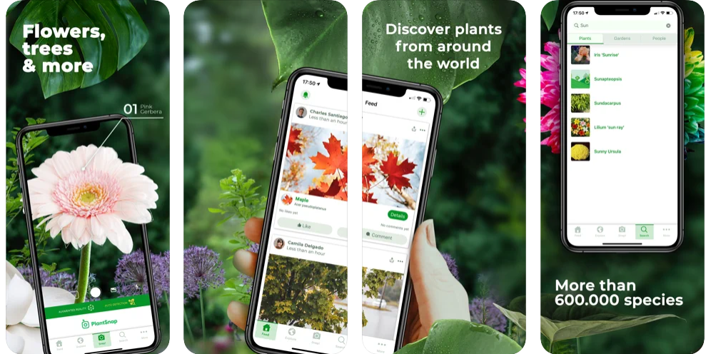 mejores-app-para-identificar-plantas-gratis-plantsnap