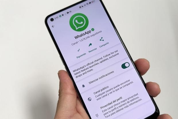 WhatsApp te agrega como contacto